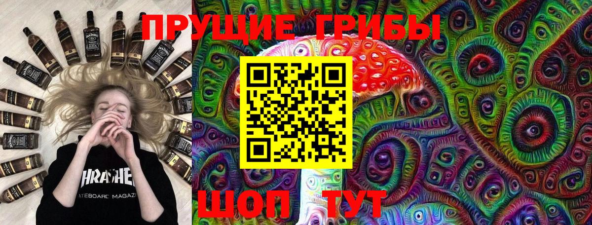 Менделеевск  Галлюциногенные грибы Psilocybine cubensis  Вход с VPN  Галлюциногенные грибы GOLDEN TEACHER 