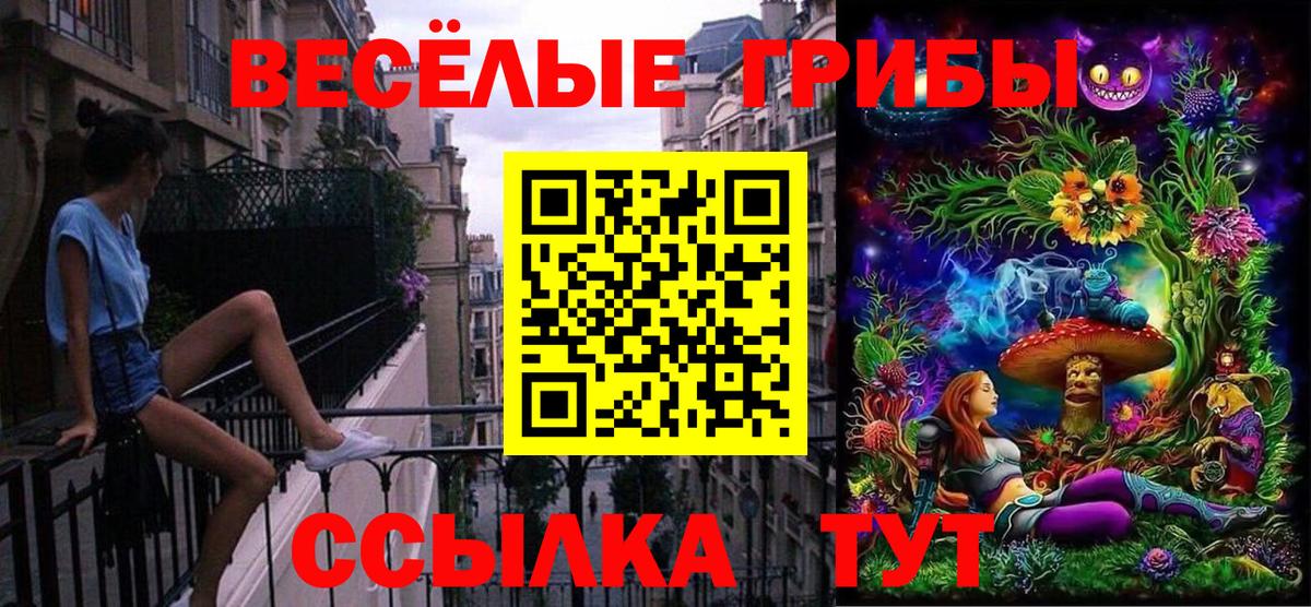 Галлюциногенные грибы Psilocybine cubensis Менделеевск